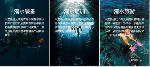 潛水公司加速趕頂，終須一別 從溫州幫現象看國內旅游業務轉型